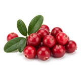 Lingonberry
