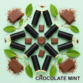 Chocolate Mint beef tallow lip balm in a recycled paper tube - Moose's Tallow
