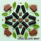 Chocolate Mint beef tallow lip balm in a recycled paper tube - Moose's Tallow