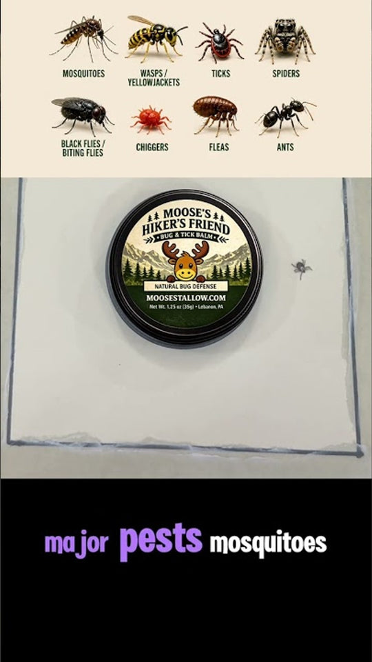 The Tick Test!