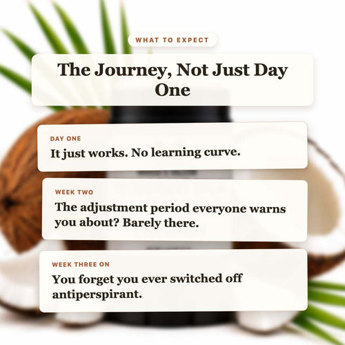 What to Expect - Coconut Deodorant timeline slide
