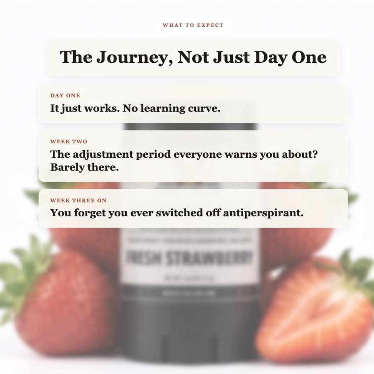 What to Expect - Fresh Strawberries Deodorant timeline slide
