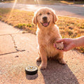 Dog Paw Balm & Wax | Puppy Paw Nourishing Balm with Calendula - Mooses Tallow