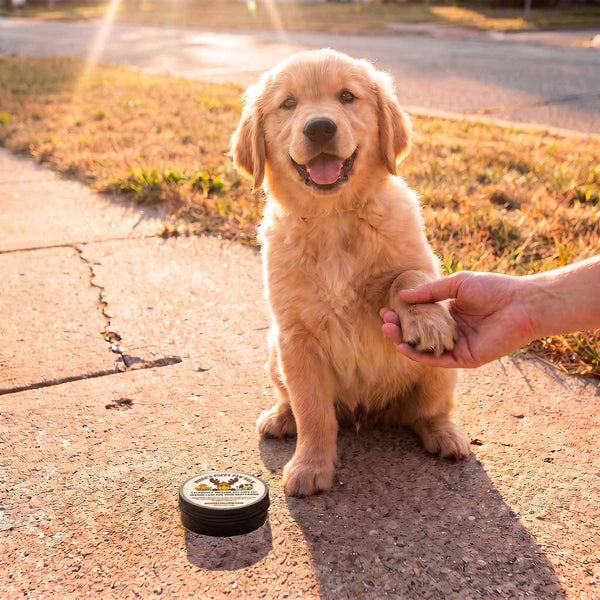 Dog Paw Balm & Wax | Puppy Paw Nourishing Balm with Calendula - Mooses Tallow
