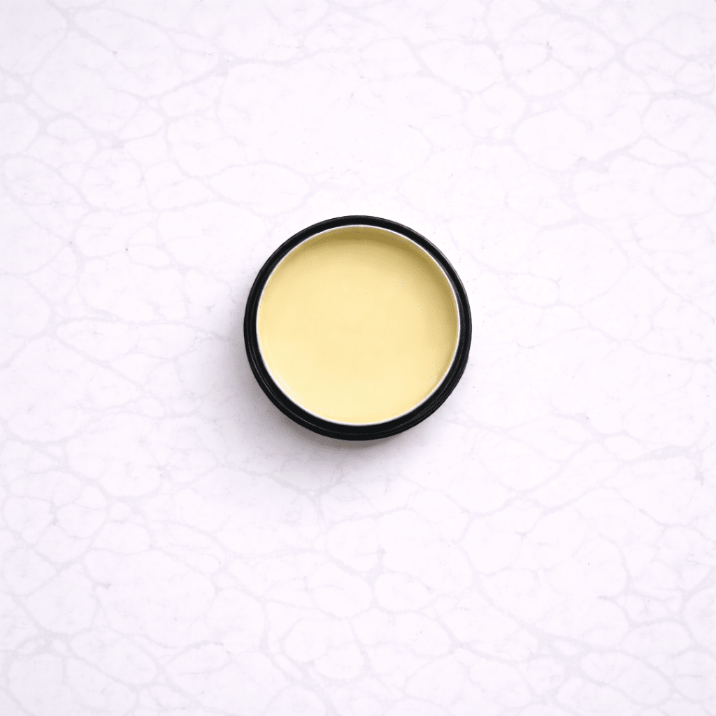 Healing Lip Balms - Moose's Tallow grass fed tallow