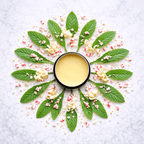 Healing Lip Balms White Chocolate Mint - Moose's Tallow grass fed tallow