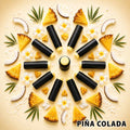 Pina Colada beef tallow lip balm in a recycled paper tube - Moose's Tallow