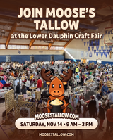 Lower Dauphin Craft Fair poster