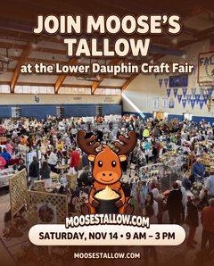 Lower Dauphin Craft Fair poster