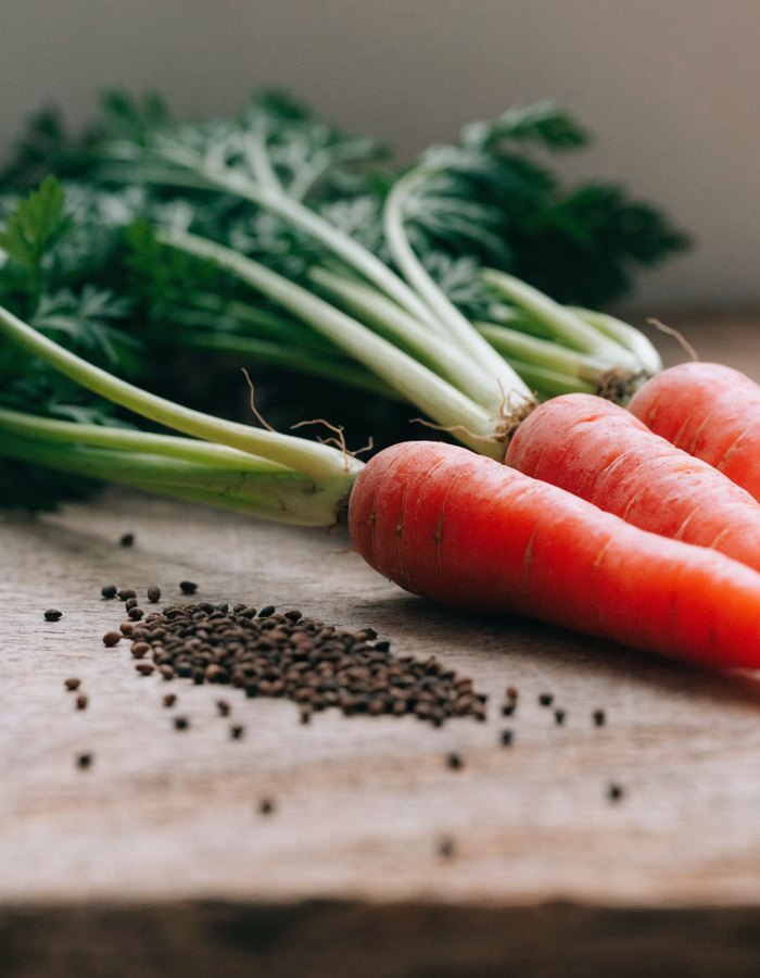 Carrot Seed Oil