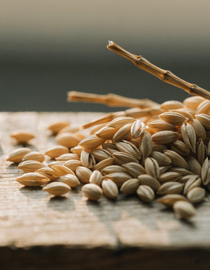 Oat Oil