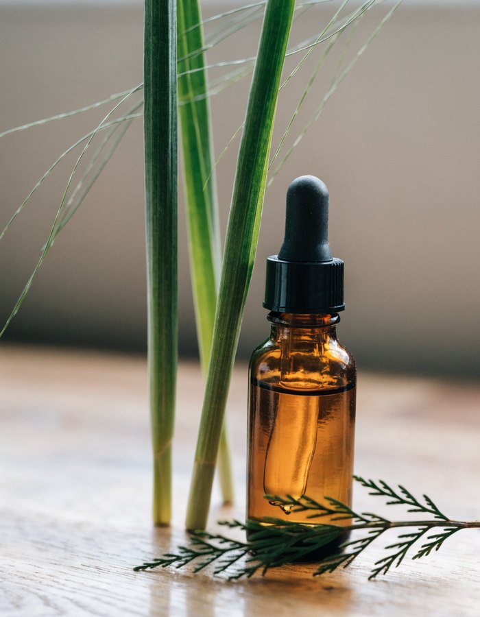 Trail Guard Essential Oil Blend