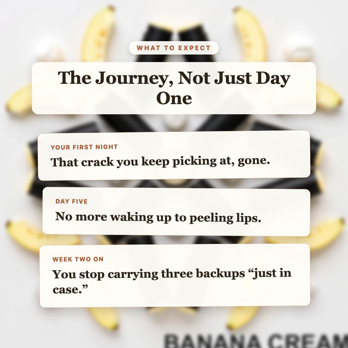 What to Expect - Banana Cream Beef Tallow Lip Balm timeline slide