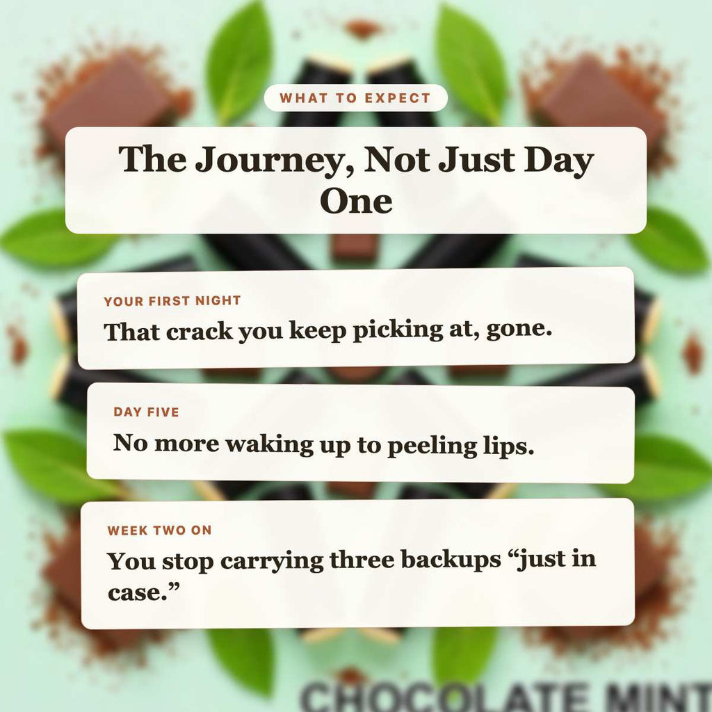 What to Expect - Chocolate Mint Beef Tallow Lip Balm timeline slide