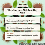 What to Expect - Chocolate Mint Beef Tallow Lip Balm timeline slide