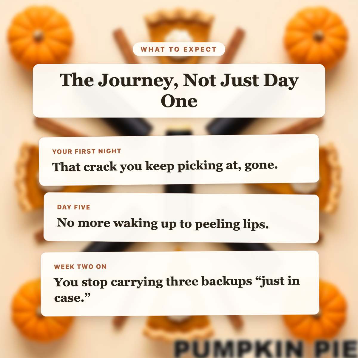 What to Expect - Pumpkin Pie Beef Tallow Lip Balm timeline slide