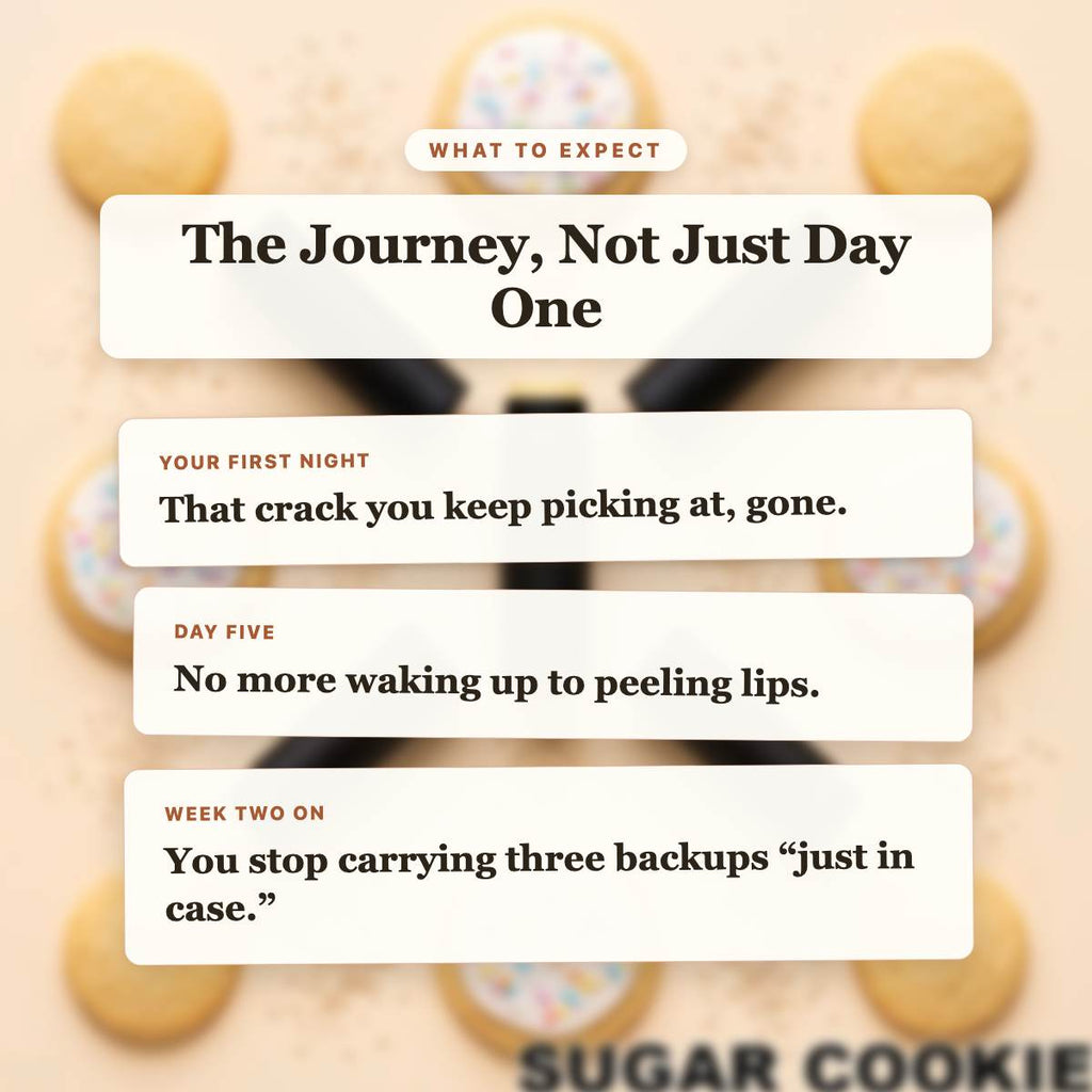 What to Expect - Sugar Cookie Beef Tallow Lip Balm timeline slide