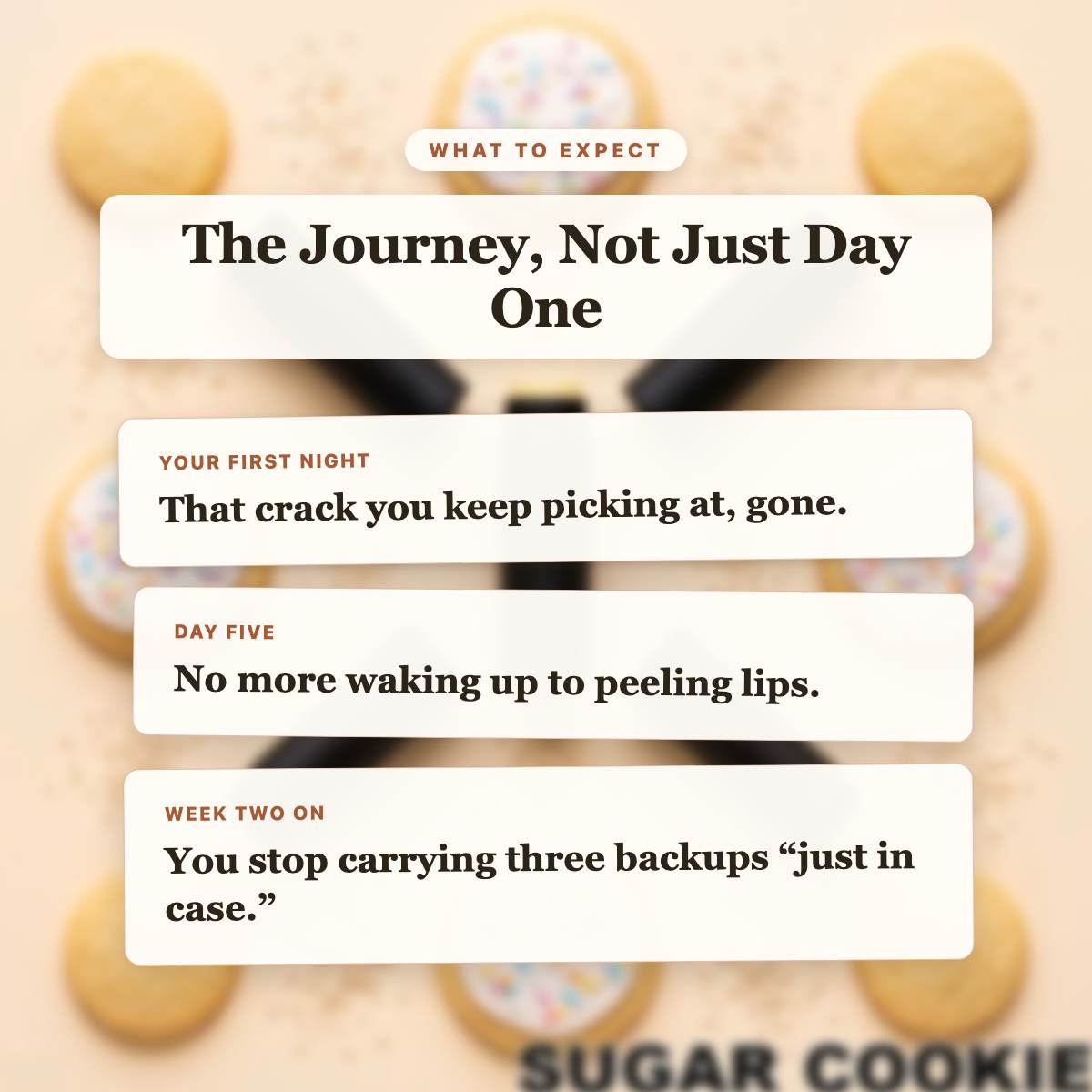What to Expect - Sugar Cookie Beef Tallow Lip Balm timeline slide