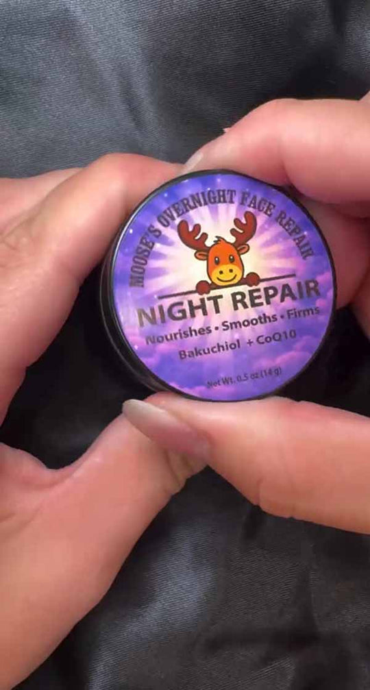 Meet Moose's Night Repair