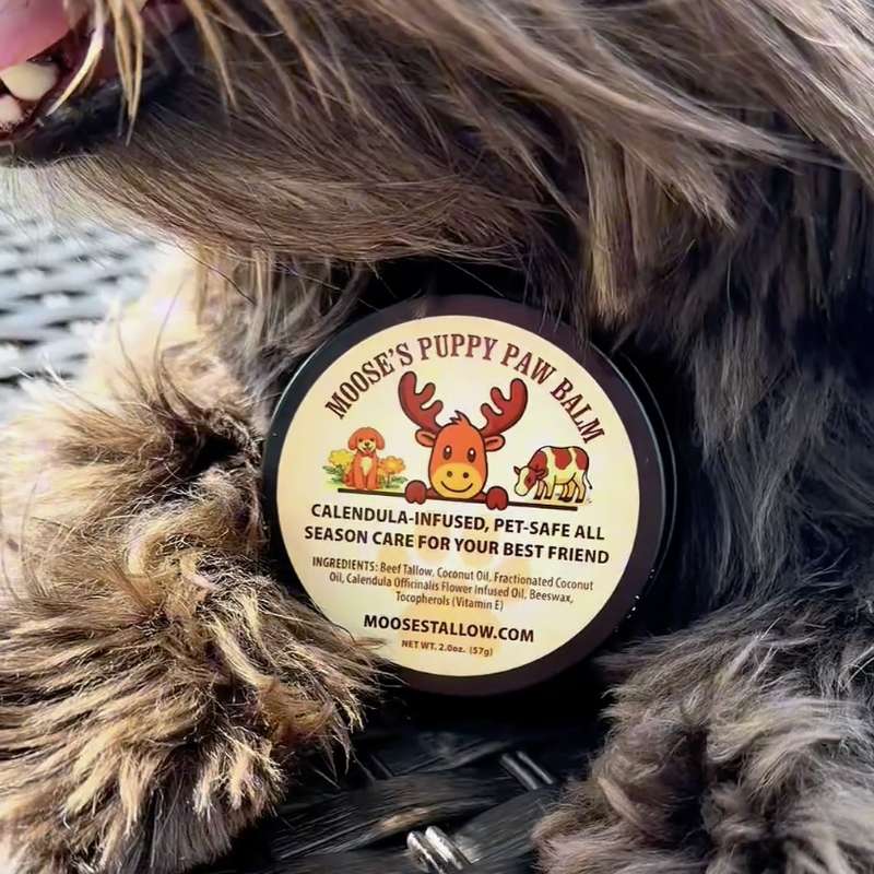Moose's Puppy Paw Balm tin nestled in a dog's fur