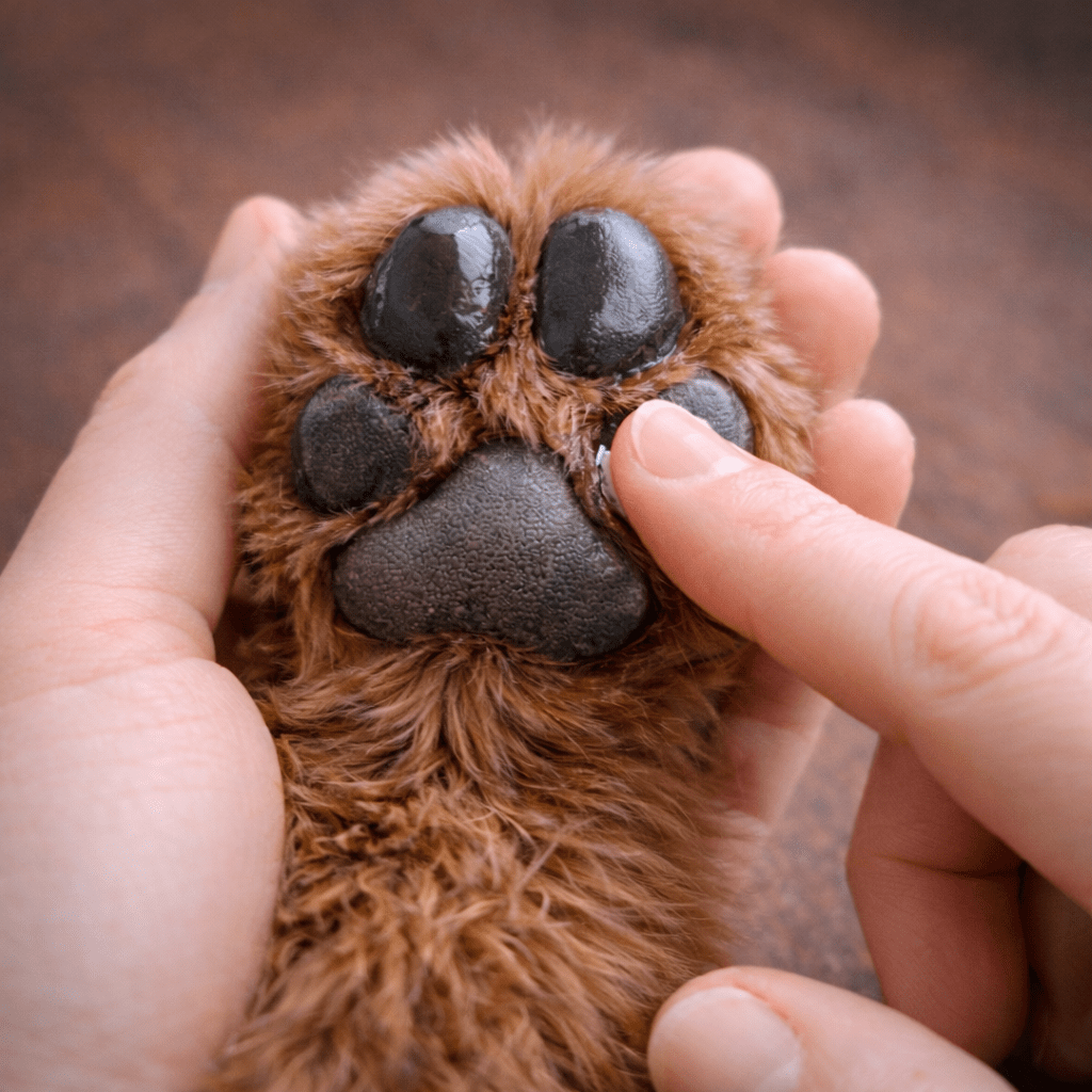 Puppy Paw Nourishing Balm - Moose's Tallow grass fed tallow