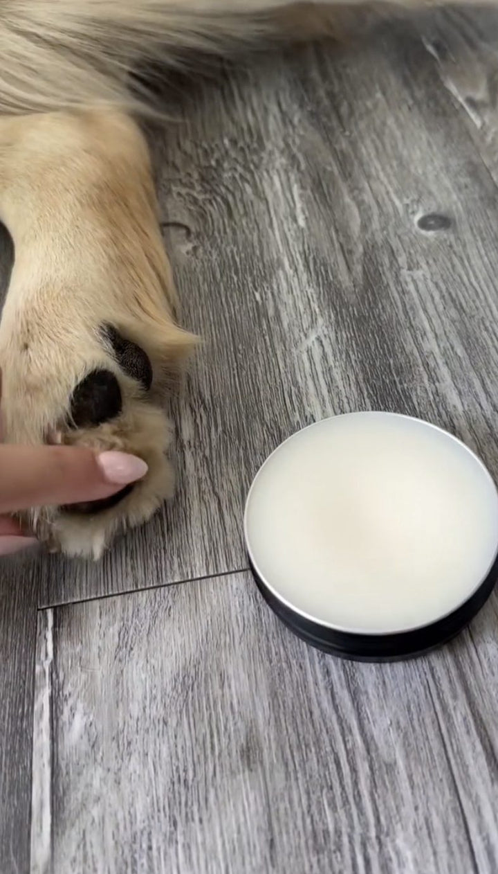 Dog Paw Balm & Wax | Puppy Paw Nourishing Balm with Calendula application video