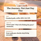 What to Expect - Puppy Paw Nourishing Balm timeline slide