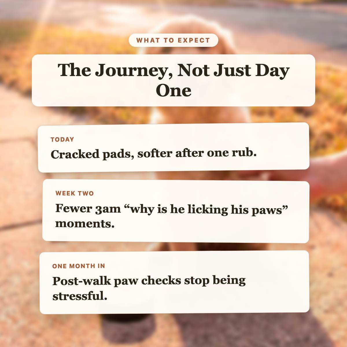 What to Expect - Puppy Paw Nourishing Balm timeline slide